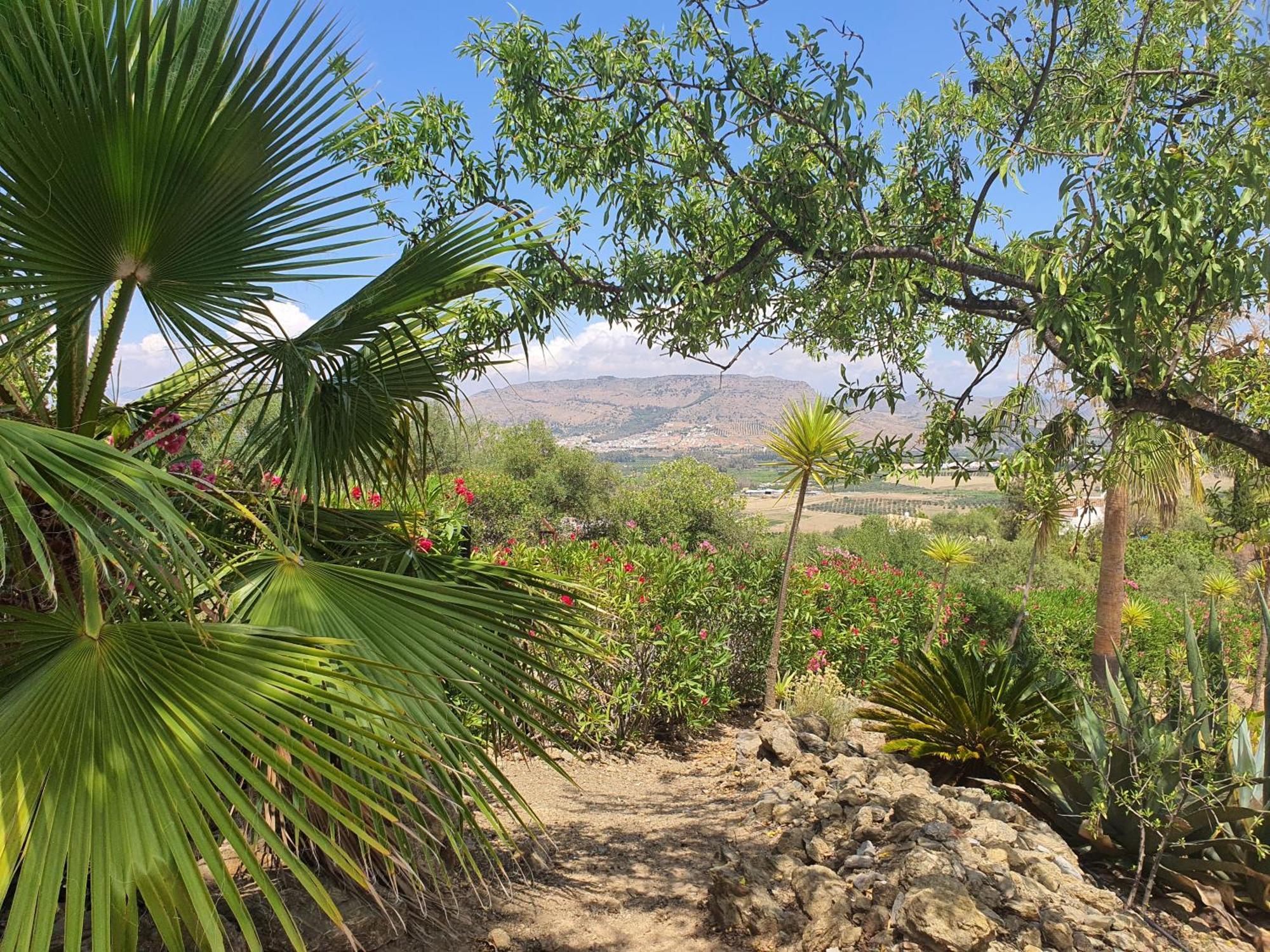 Finca Flamenco Holiday Suites Adults Only ピサラ エクステリア 写真