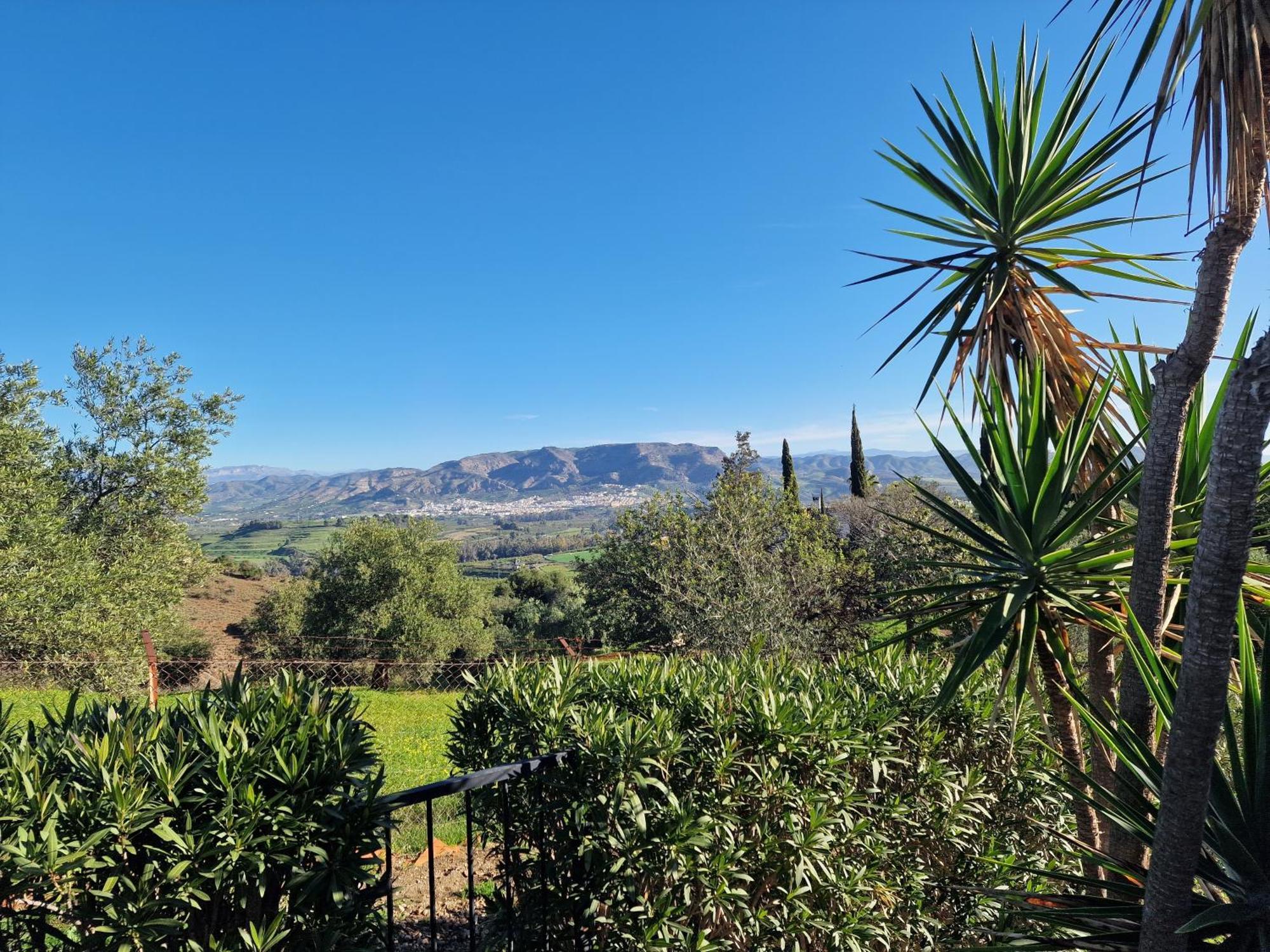 Finca Flamenco Holiday Suites Adults Only ピサラ エクステリア 写真