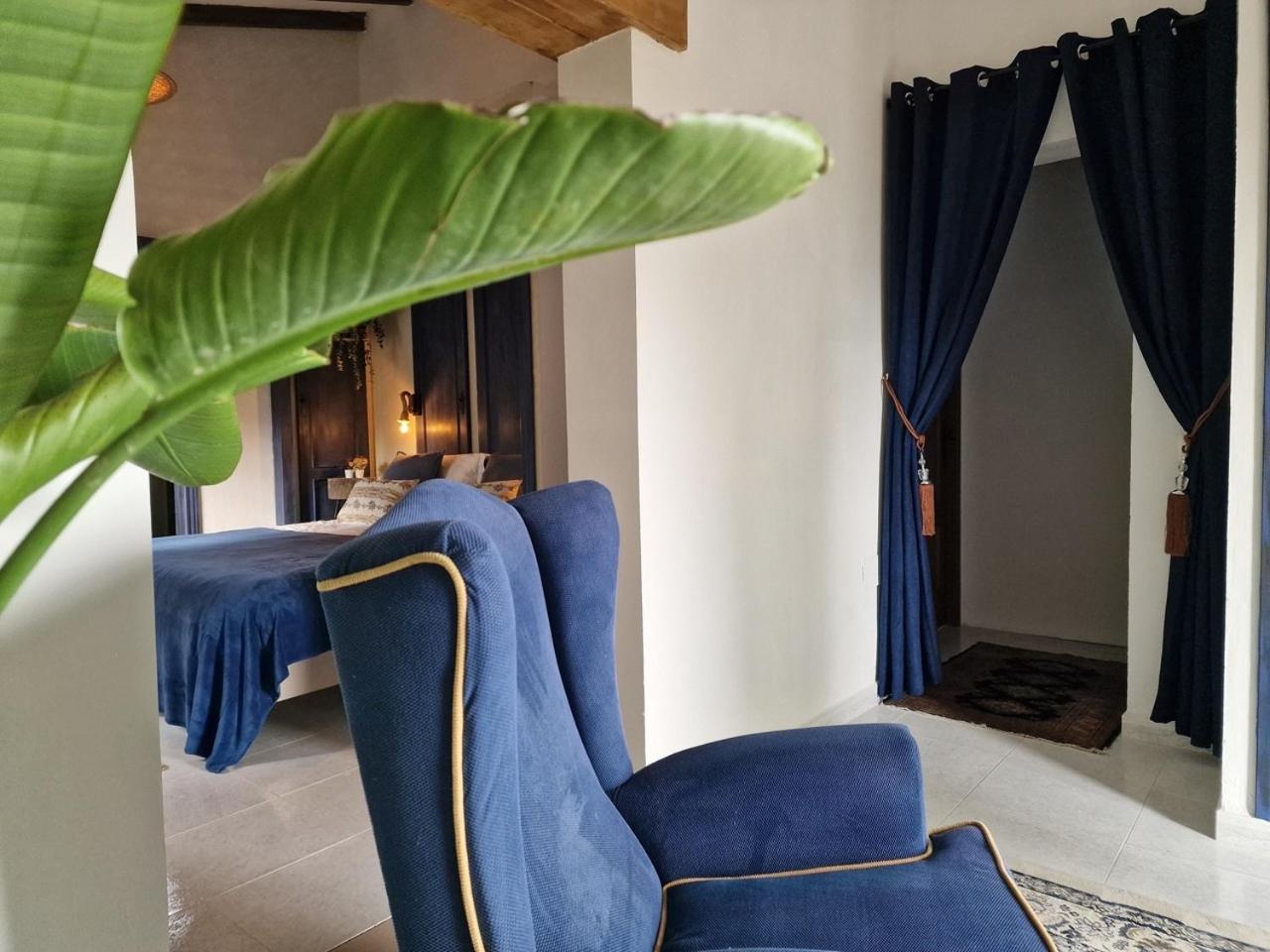 Finca Flamenco Holiday Suites Adults Only ピサラ 部屋 写真